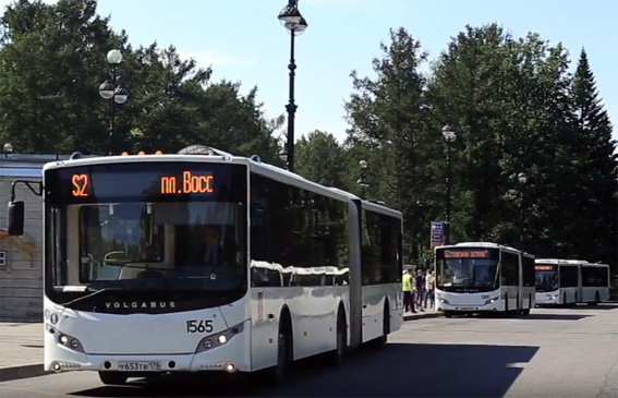 автобусы на маршруте в Петербурге