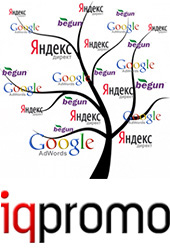 «IQpromo» - создание и продвижение интернет сайтов
