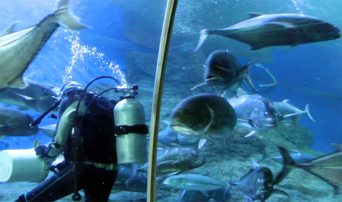 океанариум Паттайи - Underwater World Pattaya