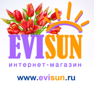 логотип интернет-магазина  ЭВИСАН
