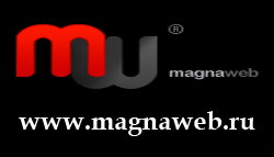 студия Magnaweb